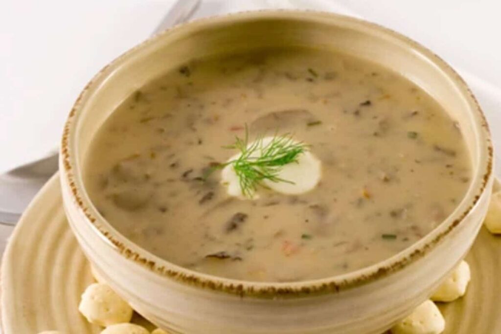 cream of mushroom soup