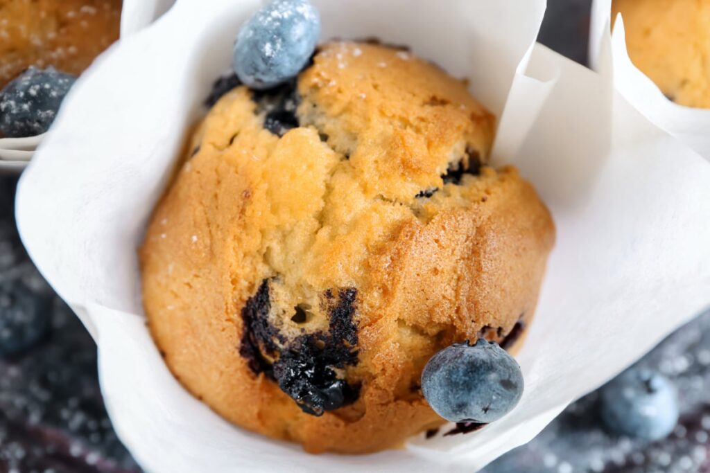 Jordan Marsh Blueberry Muffin Recipe